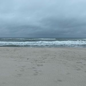 Meet your Posher, Felecia